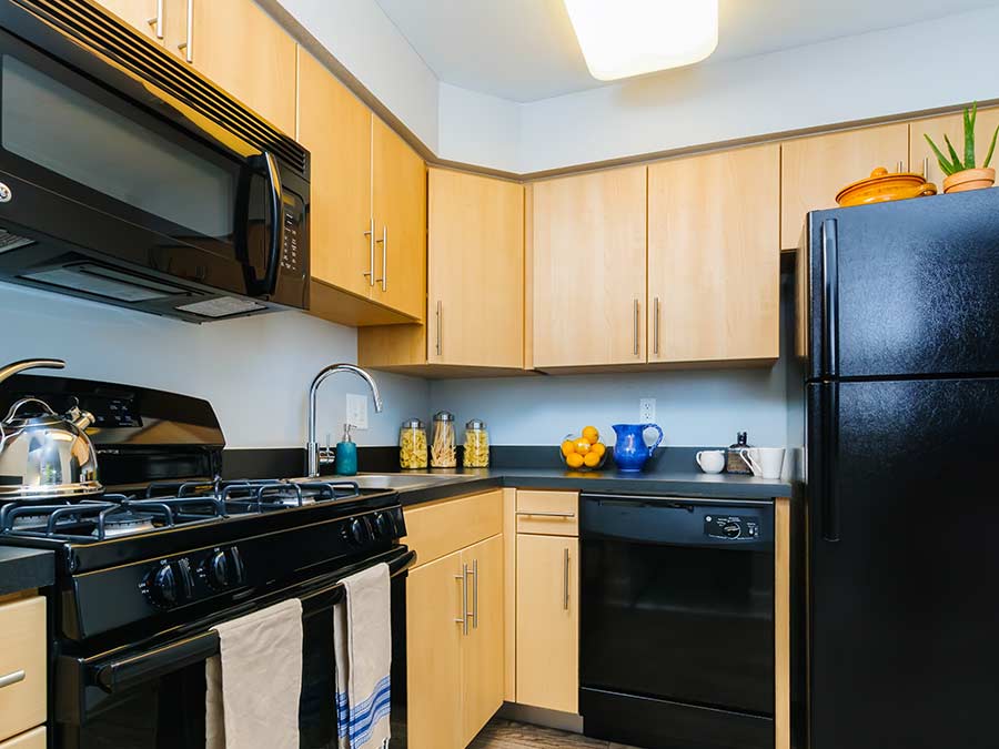 new kitchen in a Delaware apartment with wooden cabinets and black appliances